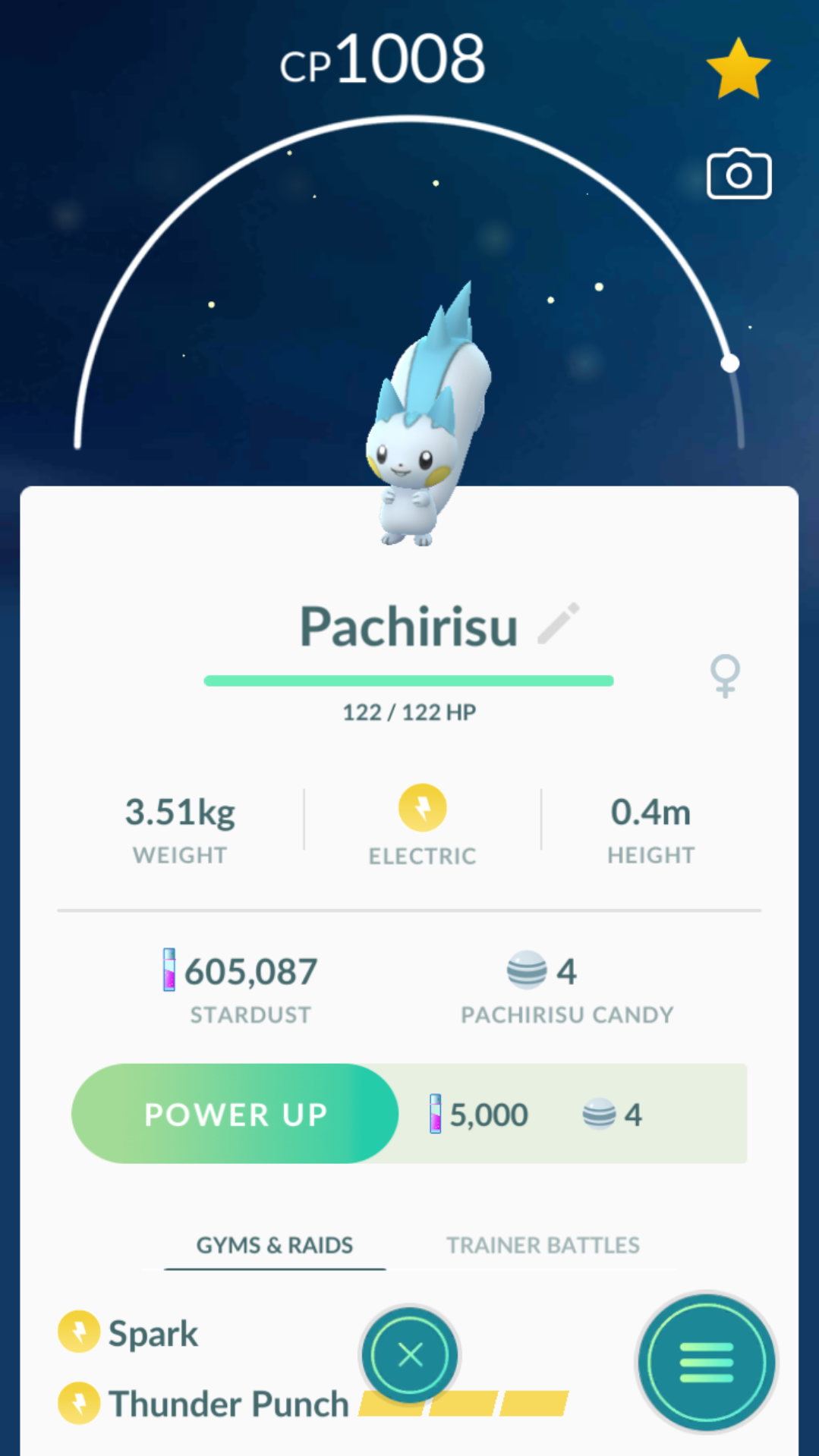 Pachirisu Pokemon