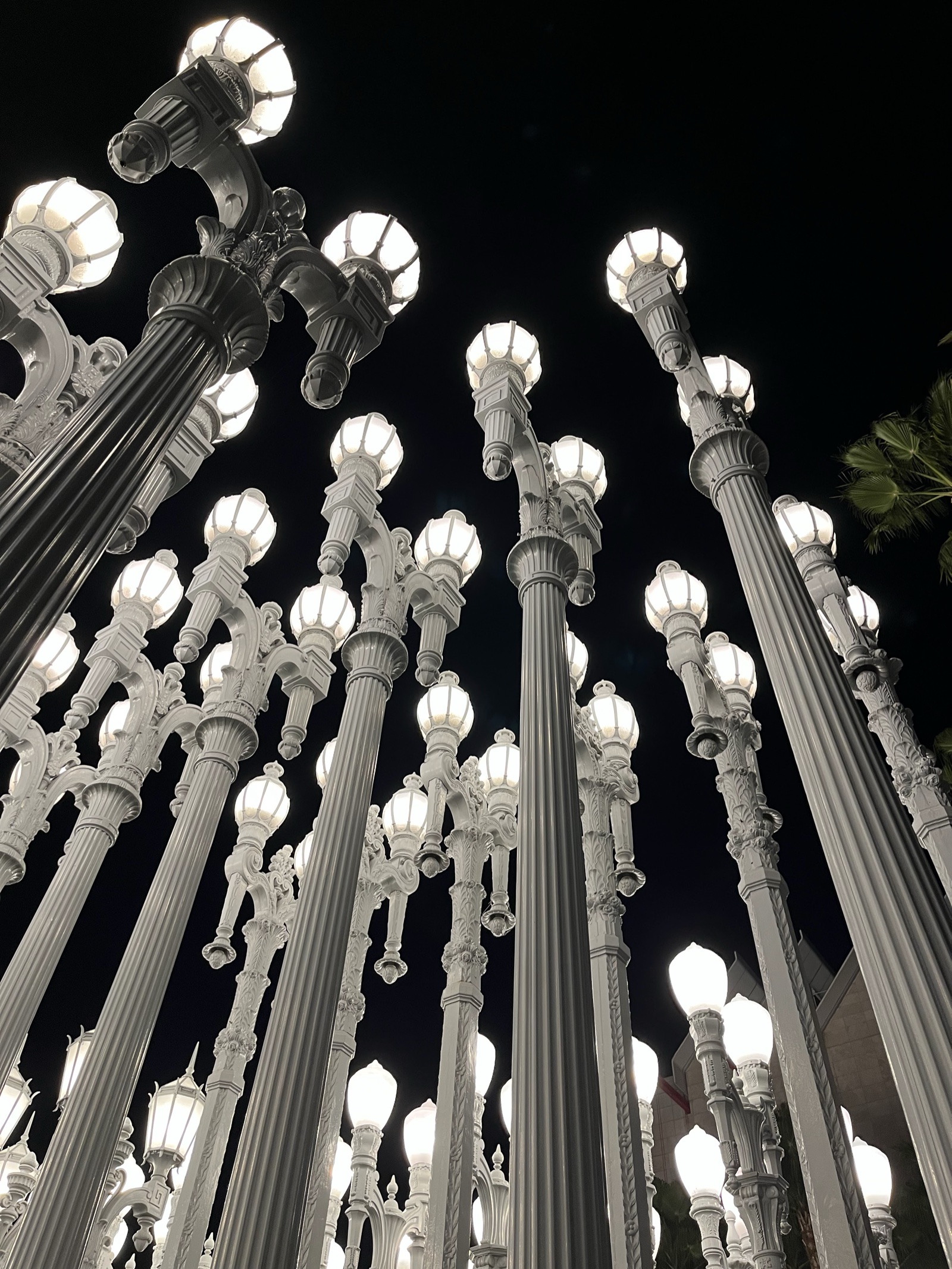 Grove LACMA 7