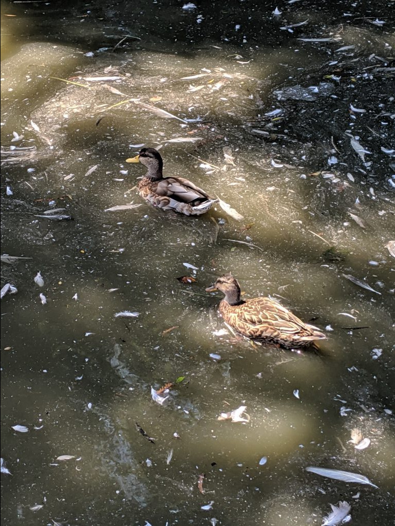 Palace of Fine Arts 5